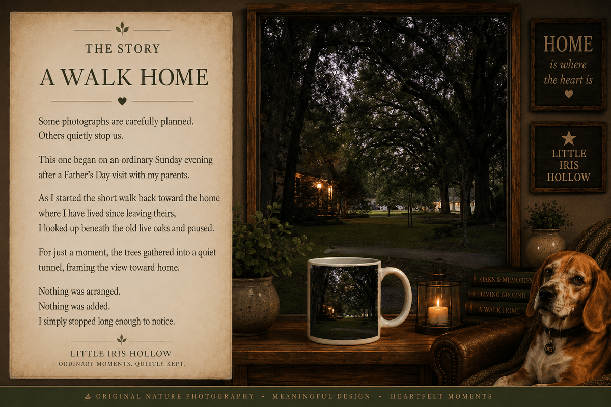 A Walk Home family-album collage