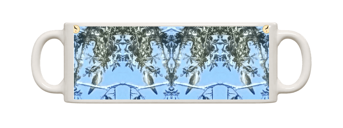 Hawk Reflections, original Little Iris Hollow photograph