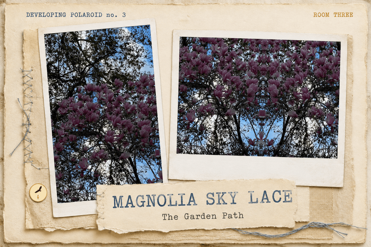 The Magnolia Sky Lace developing polaroid pairing the original magnolia photograph with its reflection