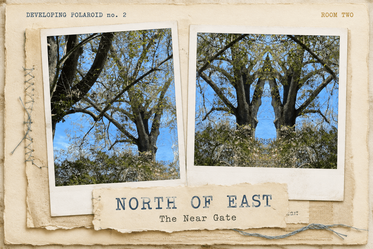 The North of East developing polaroid pairing the original Near Gate photograph with its reflection