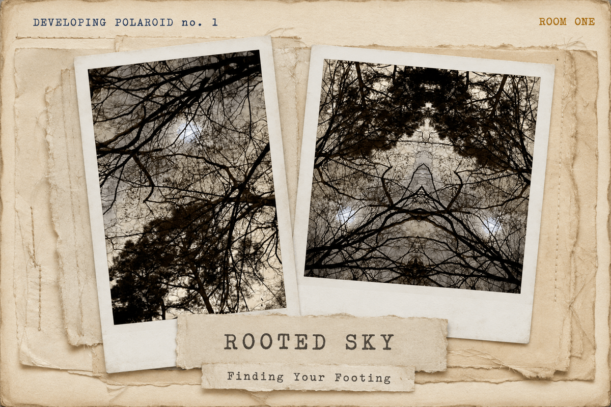 The Rooted Sky developing polaroid holding the original upward glance