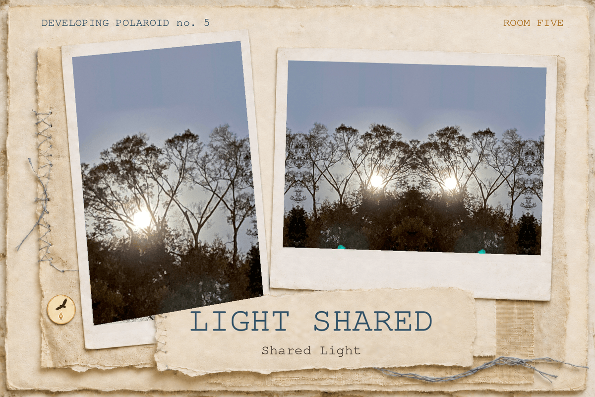 The Shared Light developing polaroid pairing the original treeline photograph with its first reflection