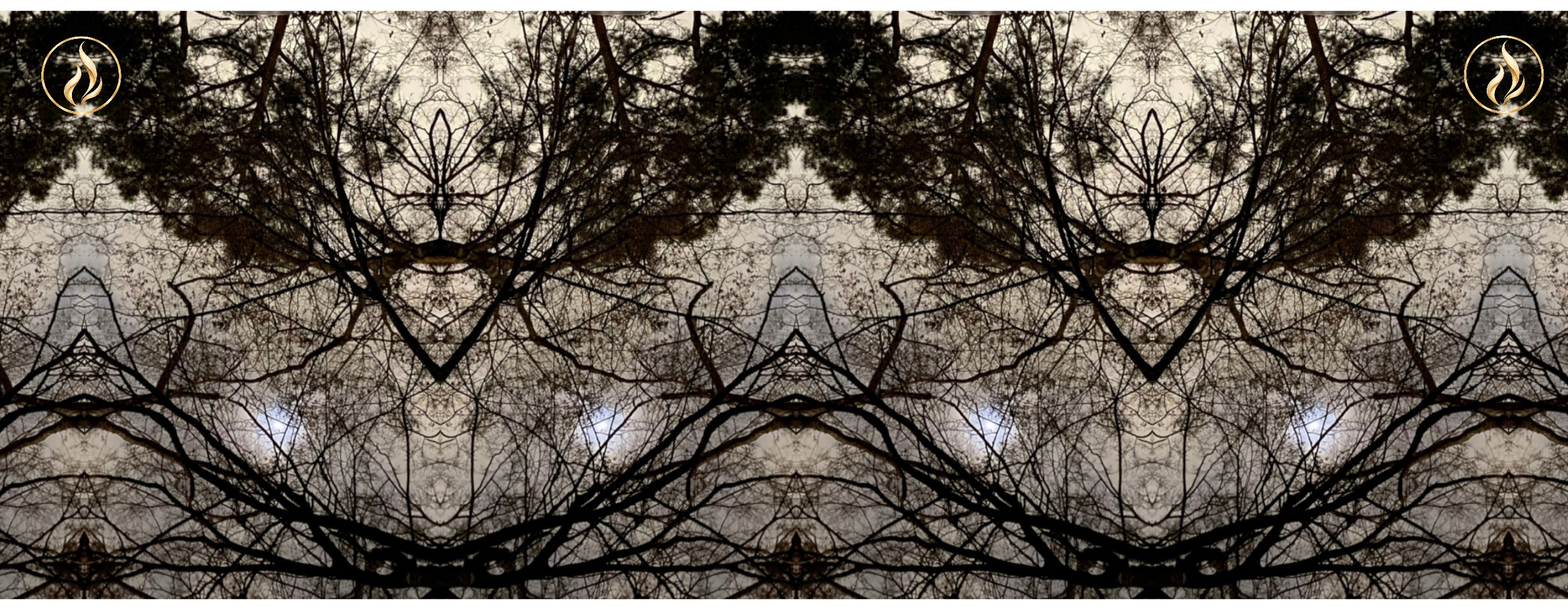 The current Rooted Sky Fourthwall reflection with two gallery-gold flame marks