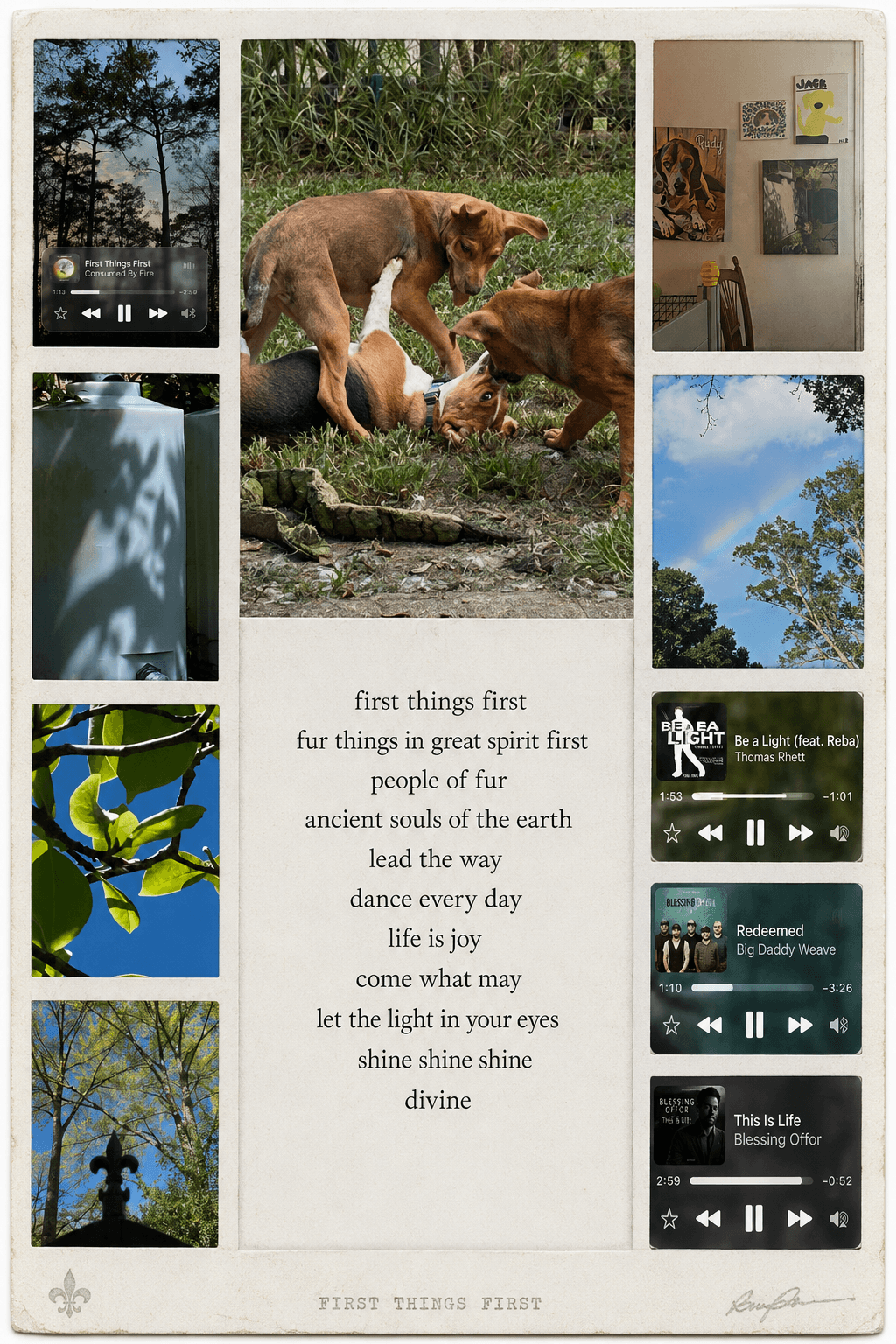 Developing Polaroid collage with hounds, rainbow, treeline light and wall art