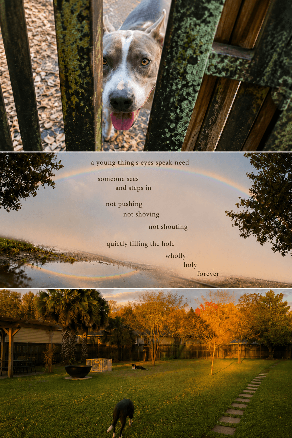 Eyes Speak, a heart-held memory beneath a rainbow