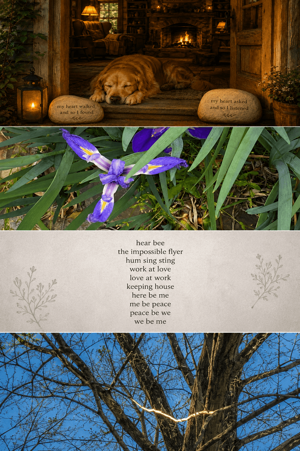 Hearts Hear, with resting hounds and an iris