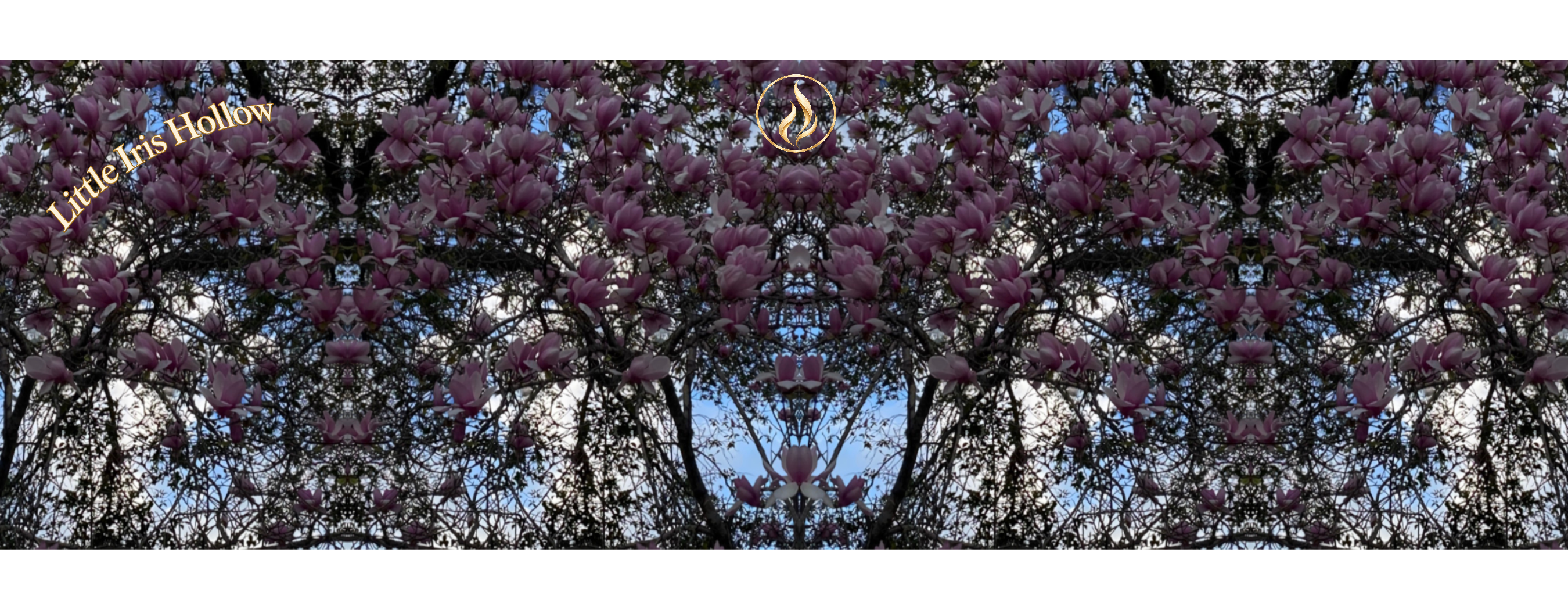 The current full Magnolia Sky Lace Fourthwall reflection with its centered gold flame